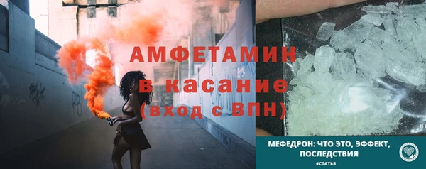 прущие грибы Беломорск
