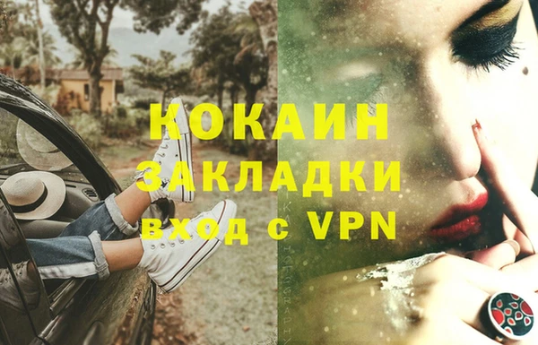 шишки Богданович