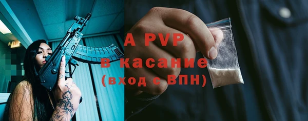 гидра Богородск