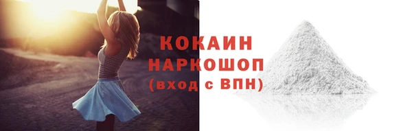 гидра Богородск