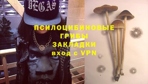 шишки Богданович
