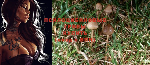 а пвп мука Сосновка