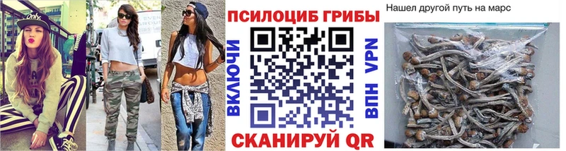 Псилоцибиновые грибы Psilocybe Малмыж